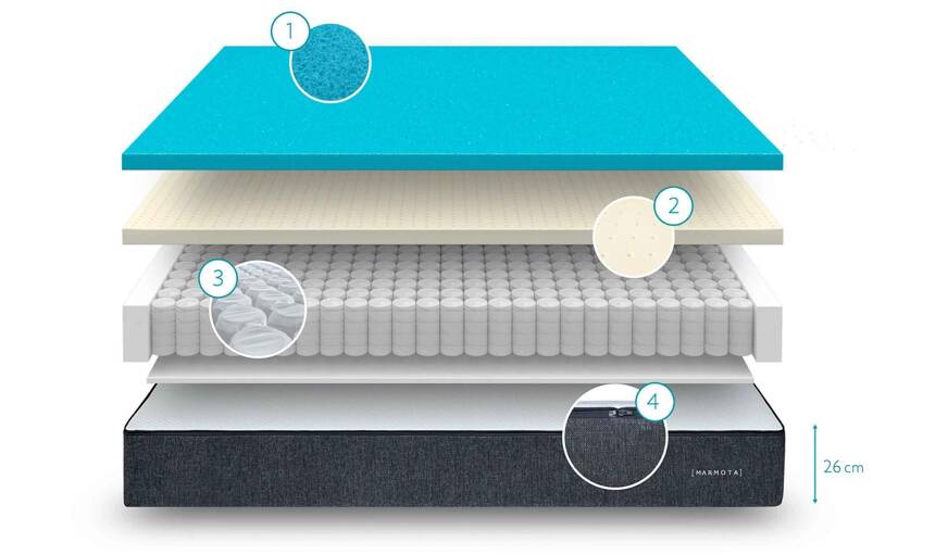 Composición marmota hybrid